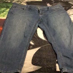 Melissa Mcarthy Seven 7 Capri form Lane Bryant